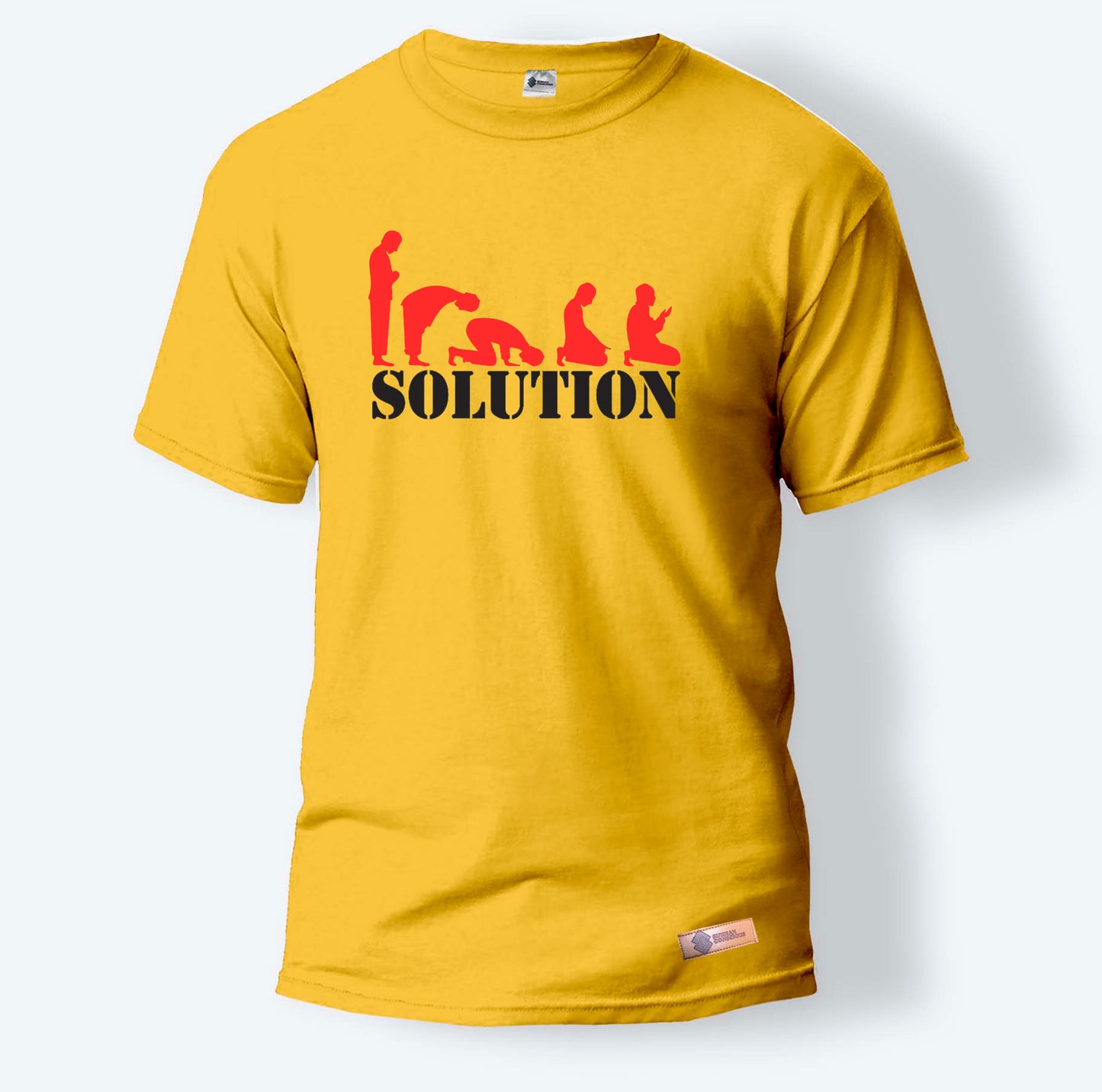 Solution